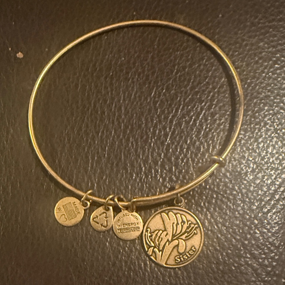 Alex and Ani Gold Sister Charm Bracelet